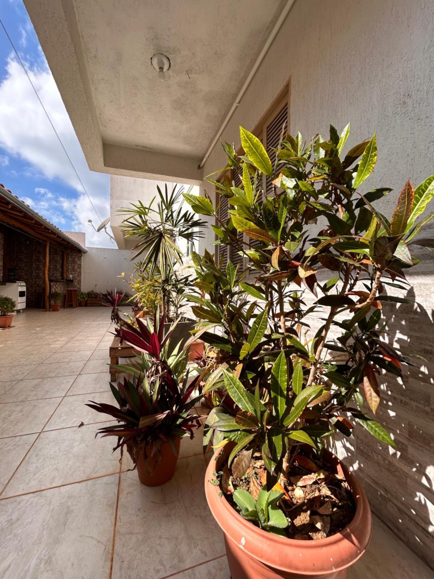 Thiferer Hostel Viçosa Extérieur photo